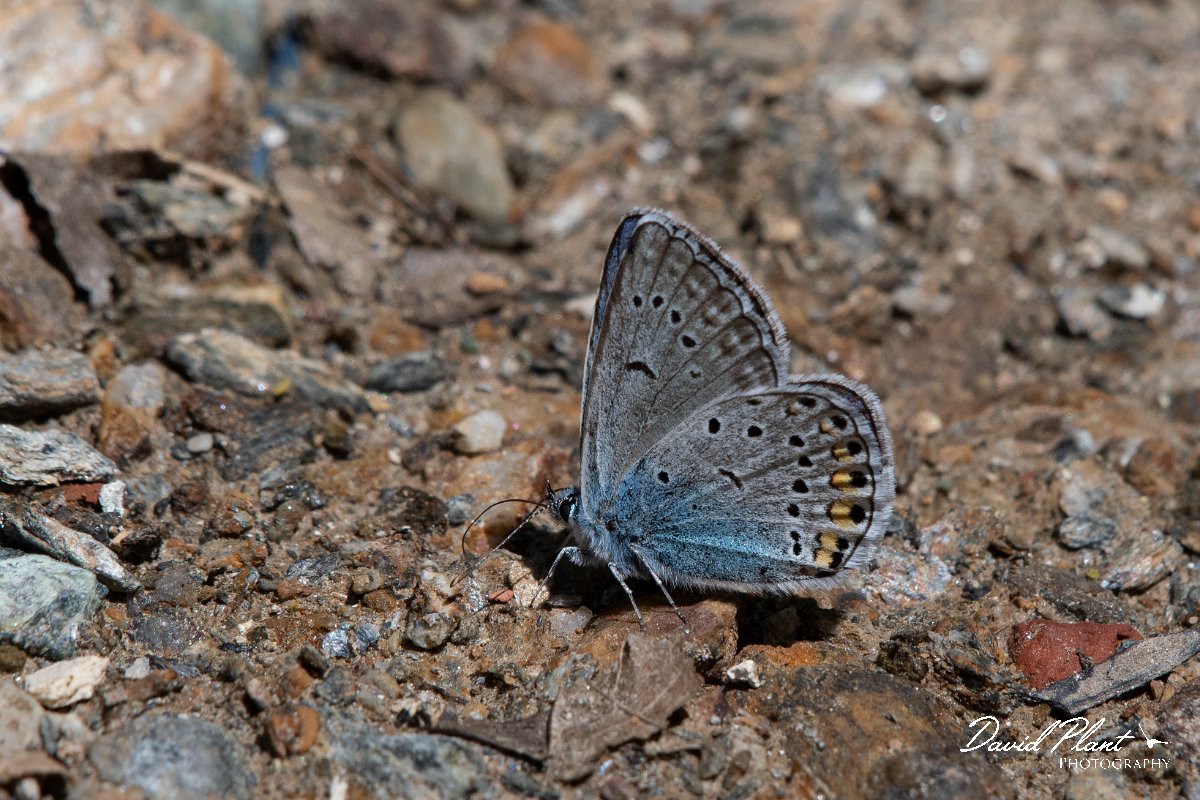 DPPhotography - Lesvos - Amanda's blue - D.jpg - Amanda's blue - Olympos massif, Lesvos