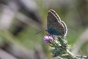 DPPhotography - Lesvos - Amanda's blue - A