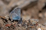DPPhotography - Lesvos - Amanda's blue - B