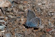DPPhotography - Lesvos - Amanda's blue - D