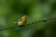 DPPhotography - Maderia - Canary - D